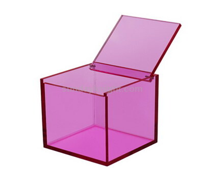 acrylic box with pinned lid
