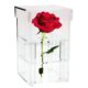 SKAB-182-C Custom single rose box clear acrylic perspex flower box wholesale