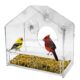 suction cup bird feeder