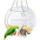 custom bird feeder