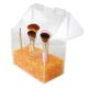 SKMD-426-2 Porta Brochas de Maquillaje con Tapa Antipolvo Cuentas de Perlas