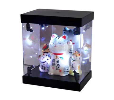 Custom LED figure display case