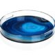 SKAT-140-2 Custom Round Acrylic Tray Lucite Circle Serving Tray With Handles Wholesale
